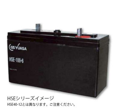 REH40-12 GSユアサ製 制御弁式鉛蓄電池 REHシリーズ＜メーカー直送代引不可＞【納期:1