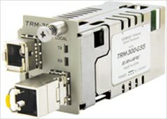 TRM-300-G55