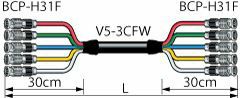 5VS03-3CFWH