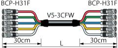 5VS05-3CFWH