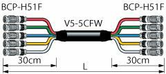 5VS05-5CFWH