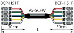 5VS10-5CFWH