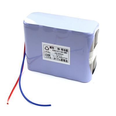 24v2000mah